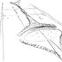 Sketch