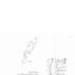 House and outbuildings map