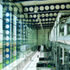 Natural light floods the manufacturing space