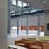 Reception desks at the back of the entrance atrium have Douglas fir over-panels with soap and lye finish