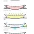 Diagramatical Section