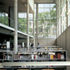 Study area