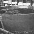 Cylindrical bastion parlty encircled by a ramp, containing four white poplars