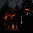 The Bird Hide at Night from the footpath
