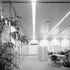 Open-plan offices