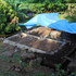 Construction phase 