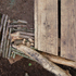 Texture detail