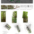 Woodland survey