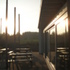 Afternoon sun