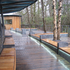 LED lighting beneath benches