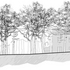 Site section