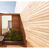 Courtyard timber cladding detail