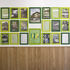 Display collage