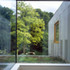 View over green roof to the trees beyond