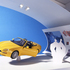 Eraly_car_Display_Model