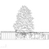 East elevation