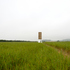 The Great Eye across the cornfield