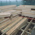 Steels and sips arrive