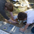 Adding detail to the Small World Play installations