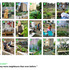 Vacant Lot 1-21: overview