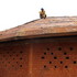 Toilet building