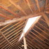 Internal roof view