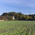 View from neighbouring field