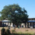 School facades and playground