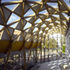 The gridshell roof shelters steps that led down to a 12th-century crypt