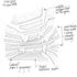 Auditorium sketch 4