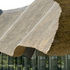Thatched eaves trace an undulating line over the planar glazing