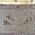 Footprints cast into the upstands