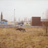 The workshops can be seen as a pioneering species invading a disturbed piece of ground