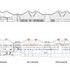 Section