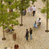 Bonn Square