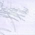 Conceptual sketch