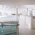 Exposed roof structure and suspended walkways