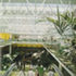 Interal view showing central circulation area and roof structure