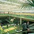 View of interior spaces with roof garden in background