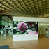 Interview view of the wooden gridshell ceiling and glass windows