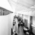 The long, double-height atrium  serves as an informal common room