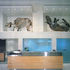 A toxodon and starunia rhino adorn the entance hall