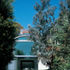 View of house from back garden