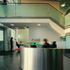 Reception desk is by Michael Sanders