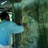 Alex Hyland repairing plasterwork on the south elevation