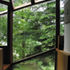River bank window