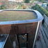 The green roof