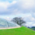   the glass membrane seems to cap the top of the grassy mound out of which it rises