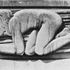 North Wind by Eric Gill