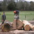 Milling